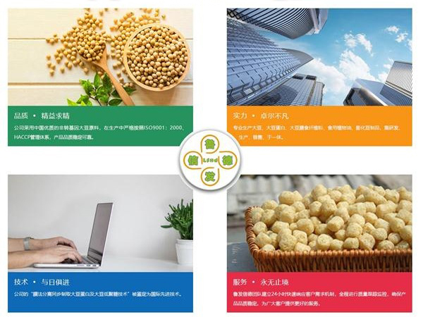 魯發(fā)信德