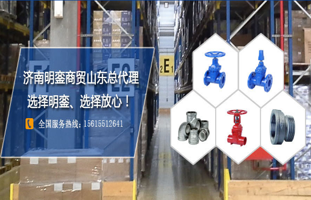 邁克管件 明鑾商貿
